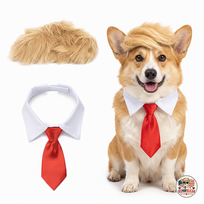 Presidential Pet Costume