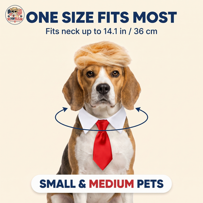 Presidential Pet Costume