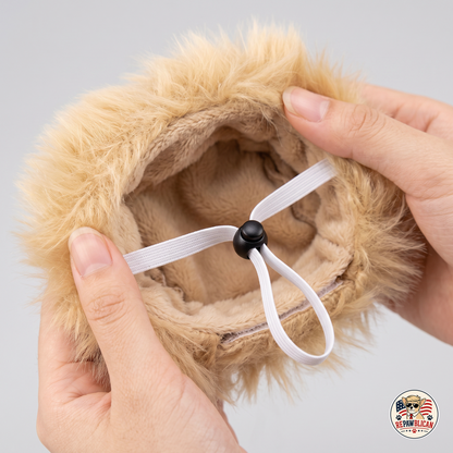 Presidential Pet Costume